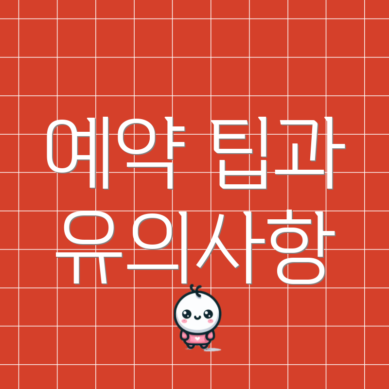 예약 팁과 유의사항