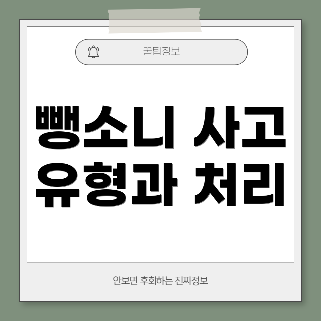 뺑소니 사고 유형과 처리