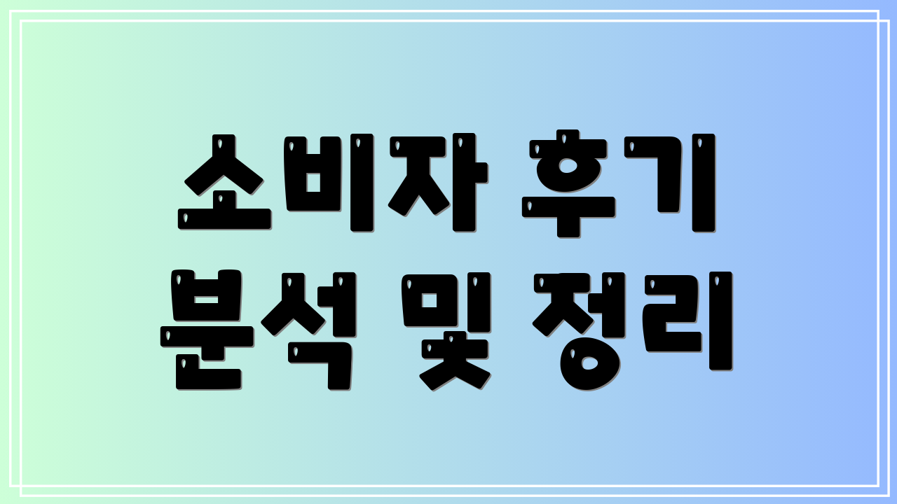 소비자 후기 분석 및 정리