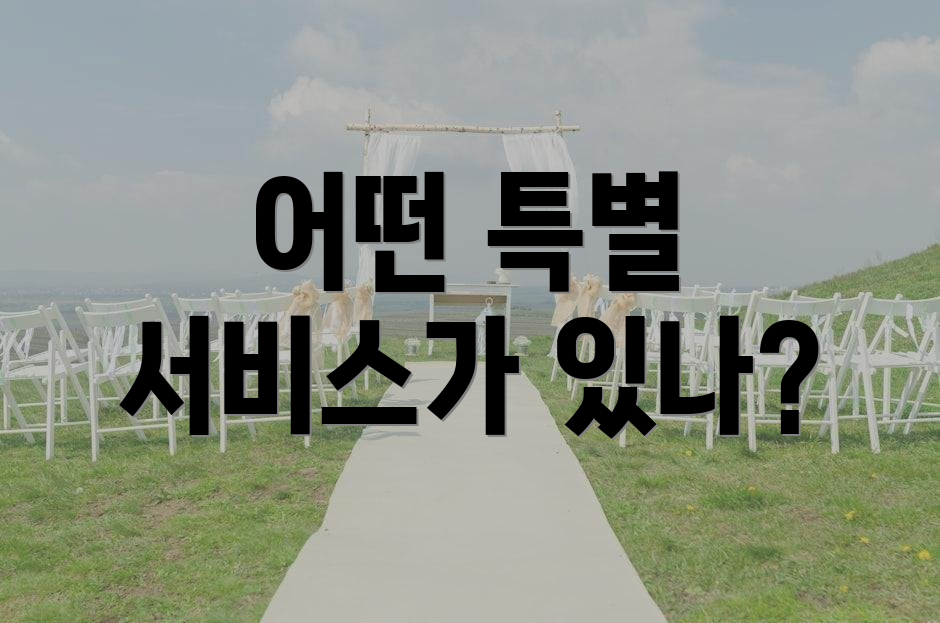 어떤 특별 서비스가 있나?