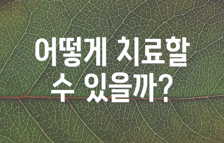 어떻게 치료할 수 있을까?
