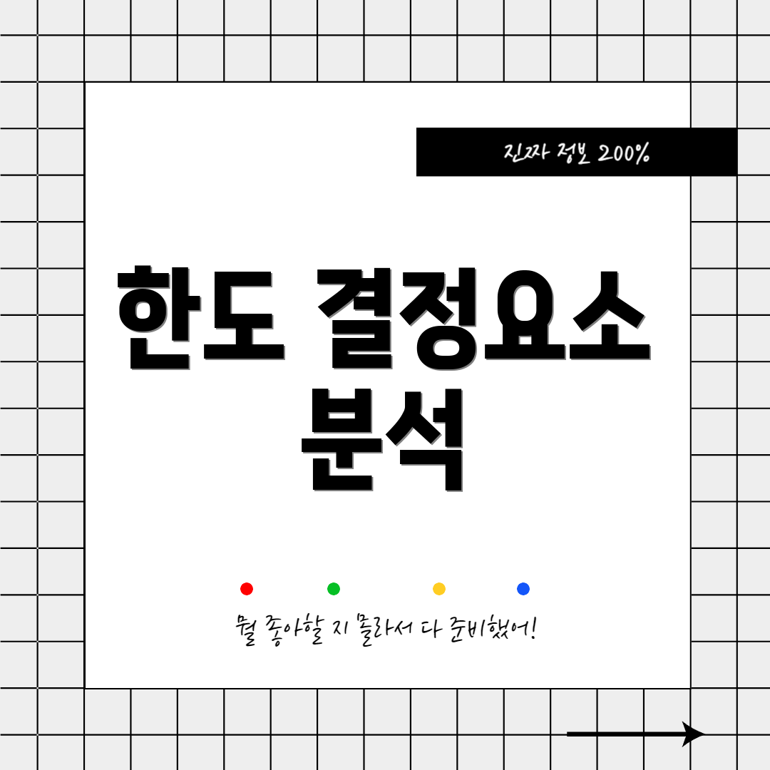 한도 결정요소 분석