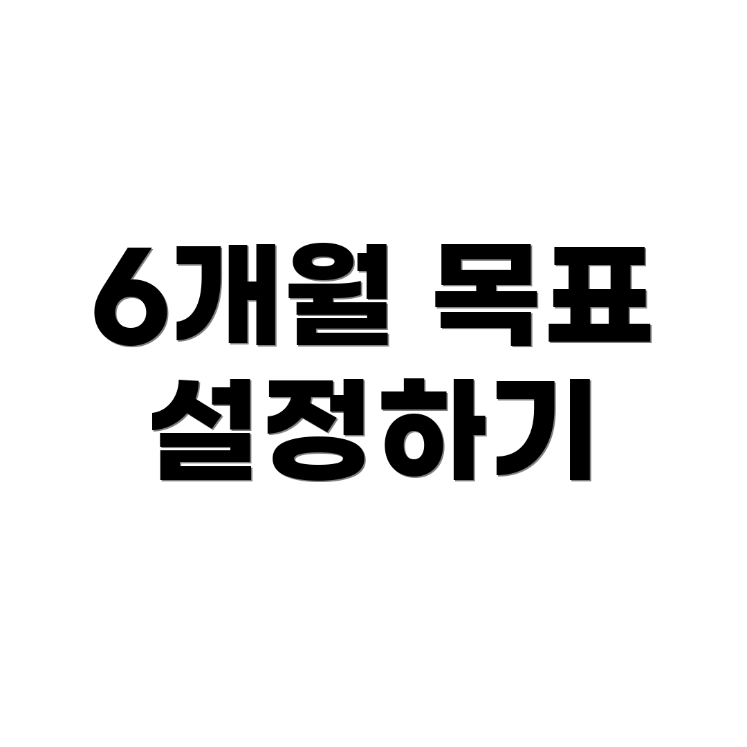 6개월 목표 설정하기
