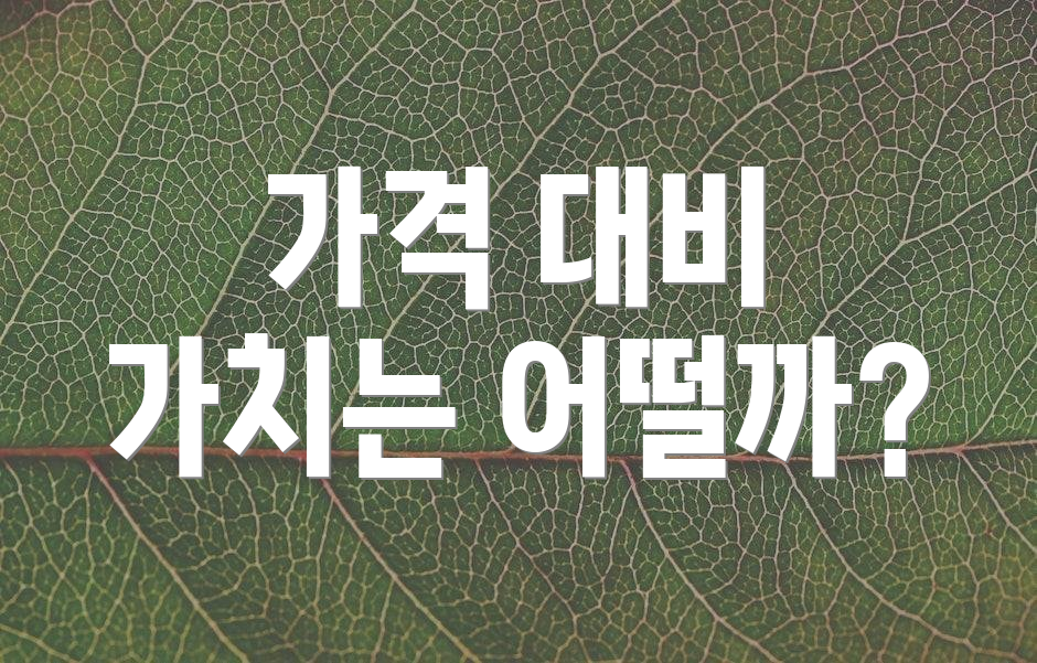가격 대비 가치는 어떨까?