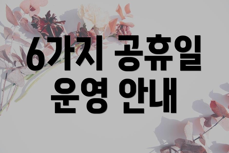 6가지 공휴일 운영 안내