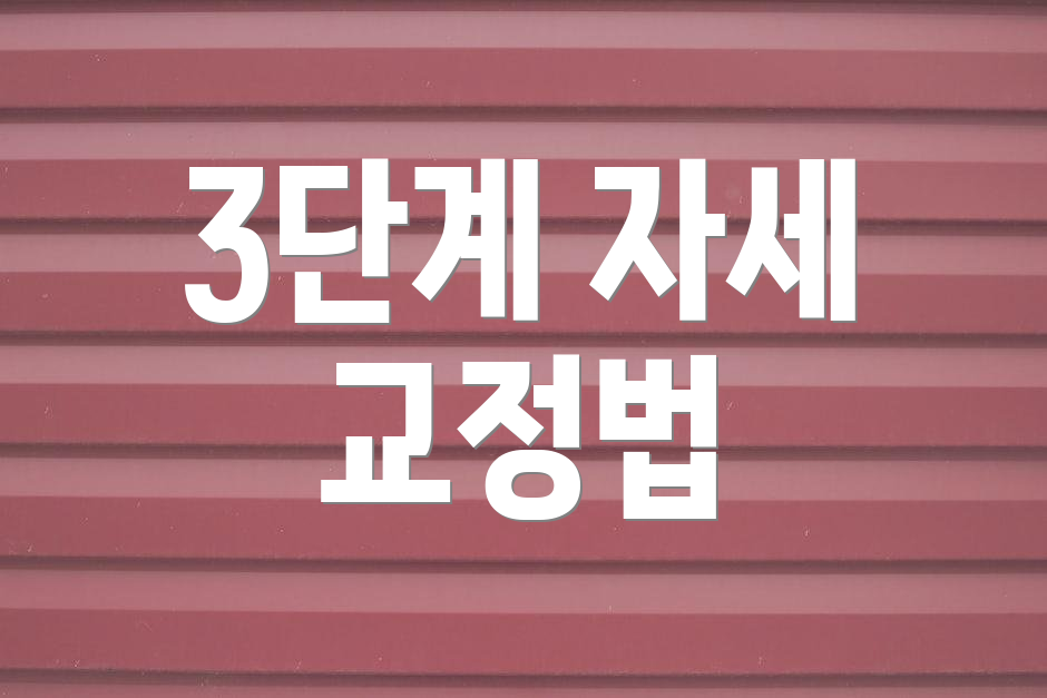 3단계 자세 교정법