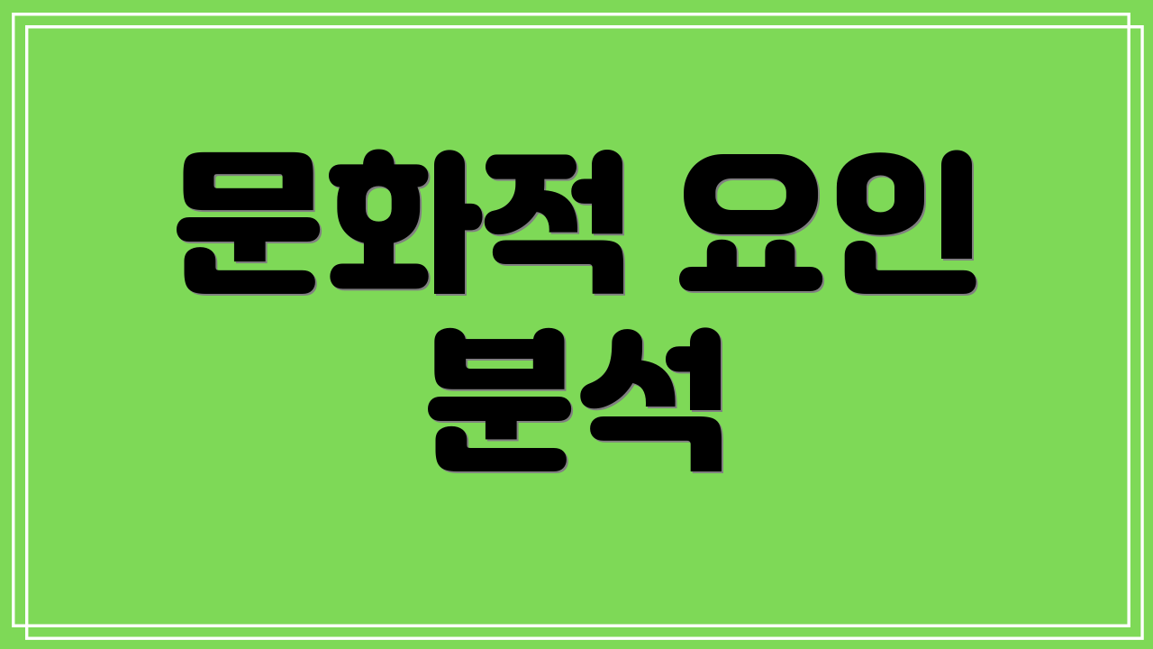 문화적 요인 분석