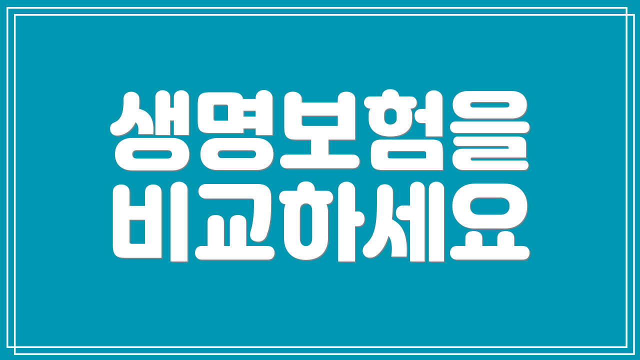 생명보험을 비교하세요