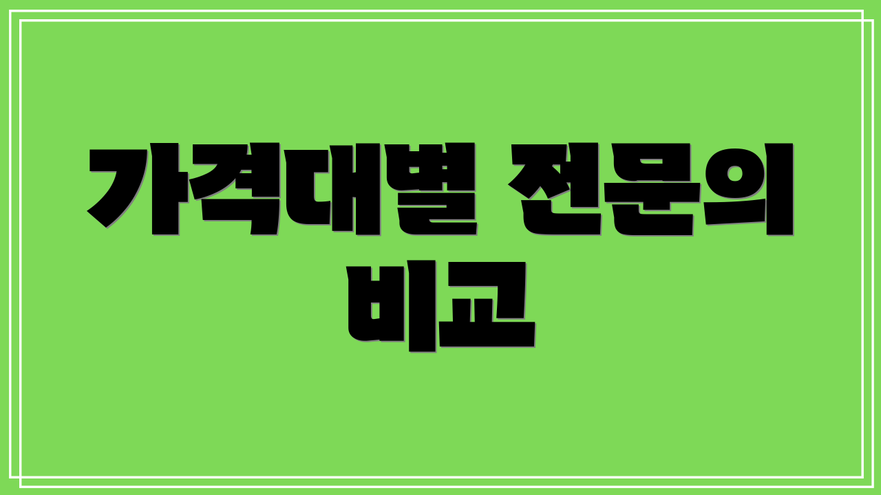 가격대별 전문의 비교
