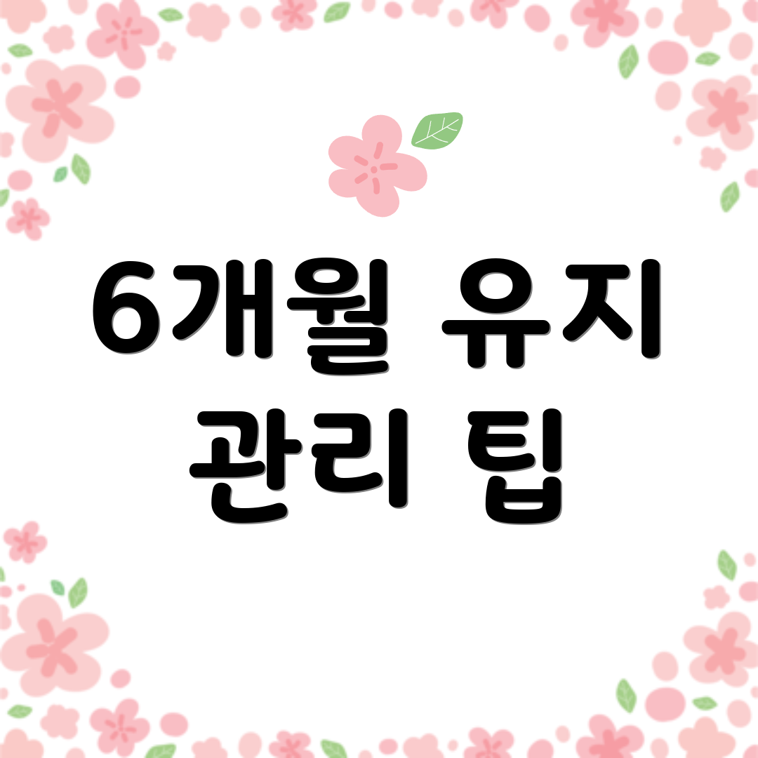 6개월 유지 관리 팁