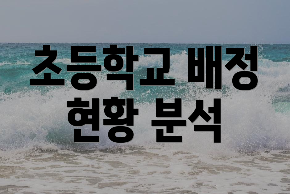 초등학교 배정 현황 분석