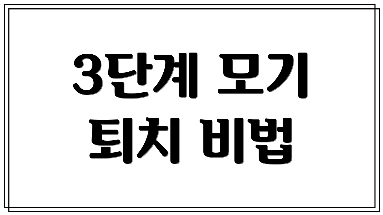 3단계 모기 퇴치 비법
