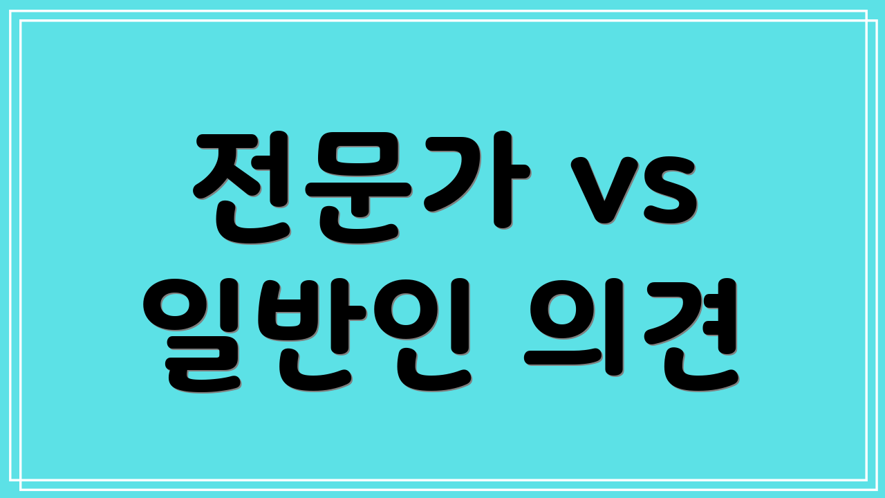 전문가 vs 일반인 의견