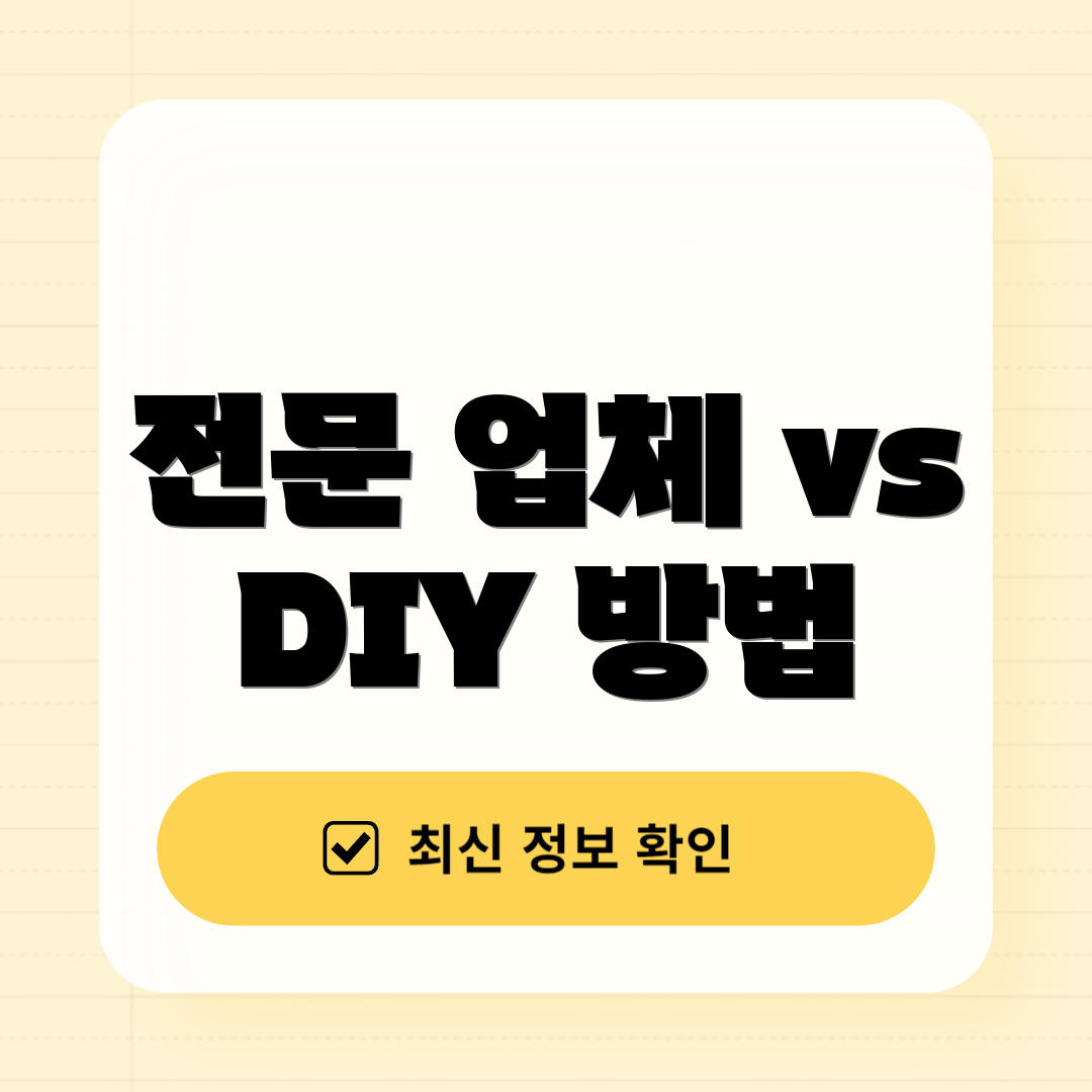 전문 업체 vs DIY 방법