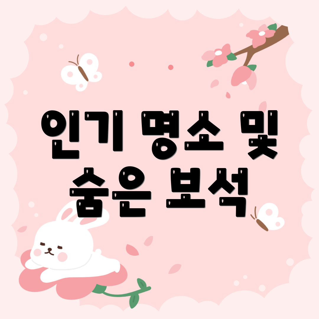 인기 명소 및 숨은 보석