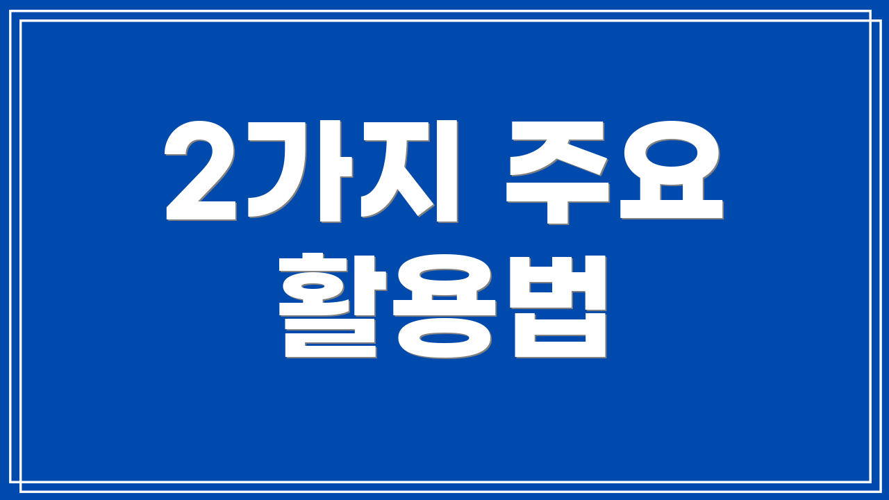 2가지 주요 활용법