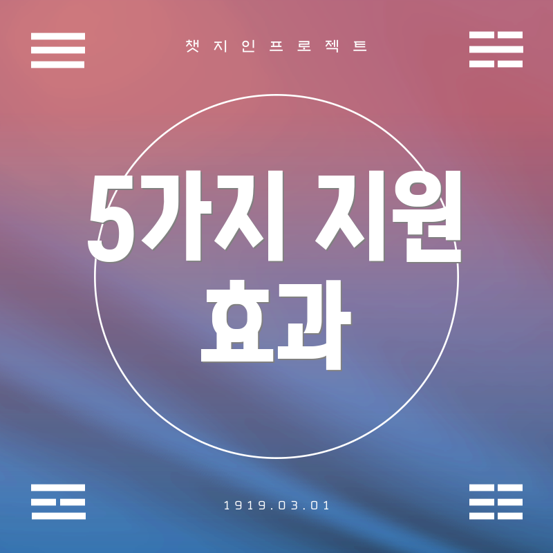 5가지 지원 효과