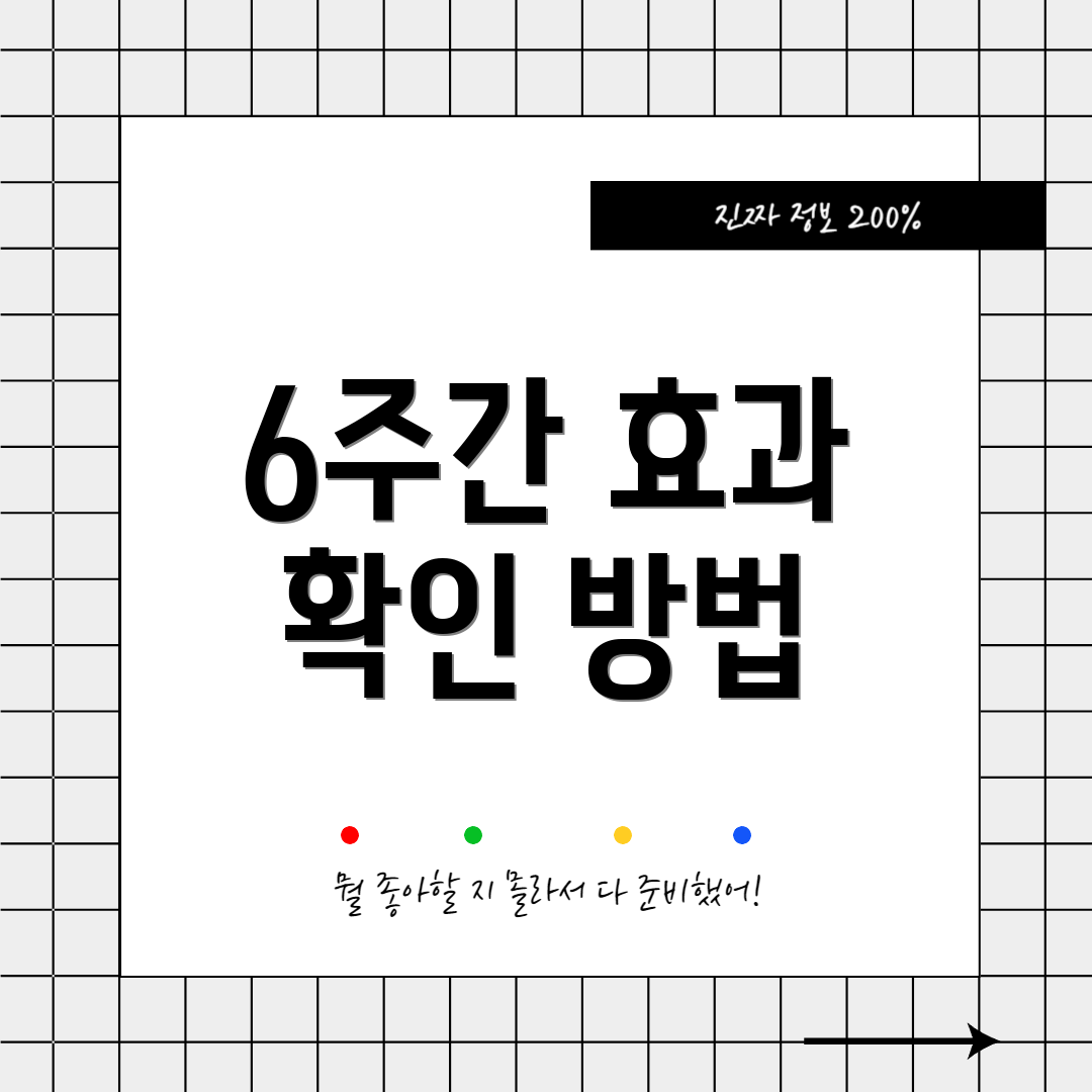 6주간 효과 확인 방법