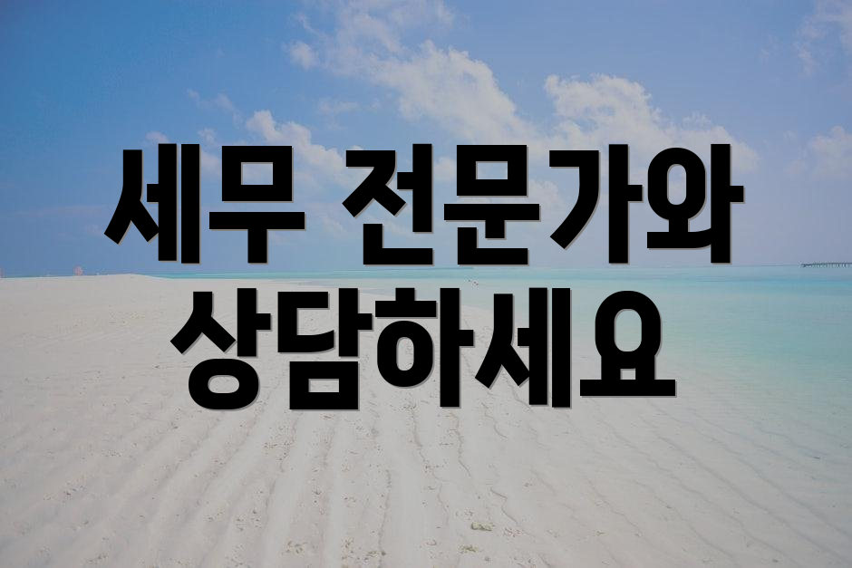 세무 전문가와 상담하세요