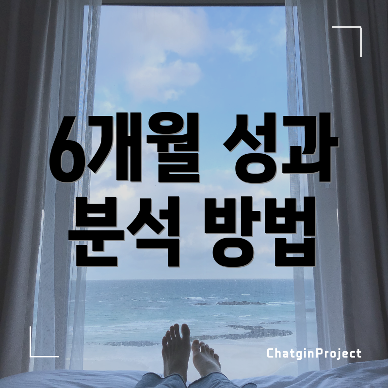 6개월 성과 분석 방법