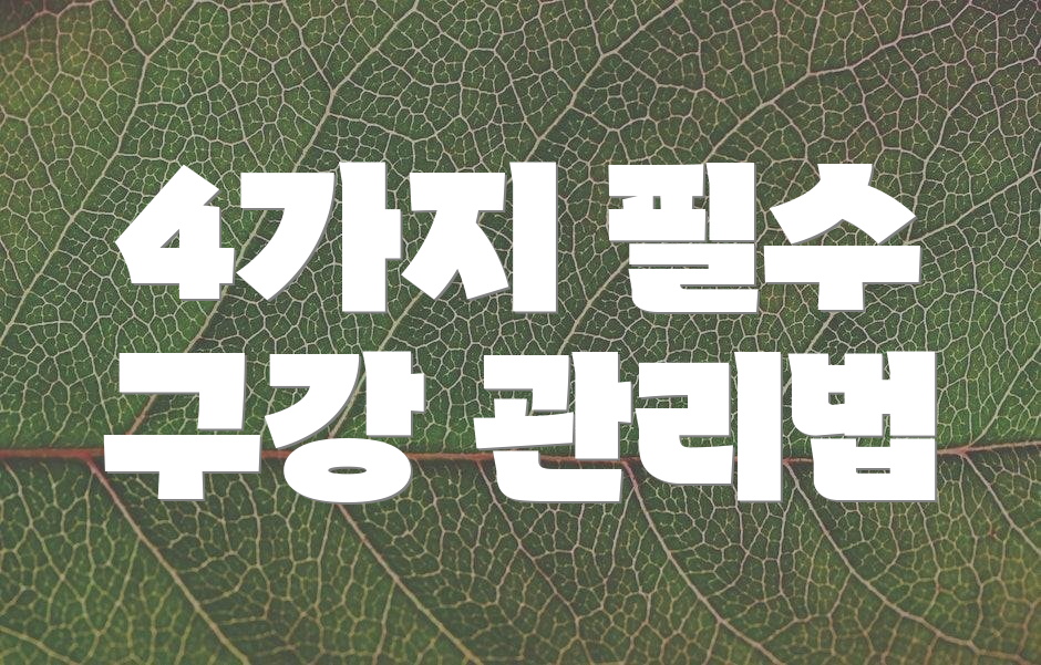 4가지 필수 구강 관리법