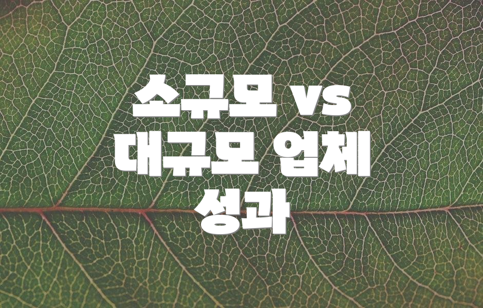 소규모 vs 대규모 업체 성과