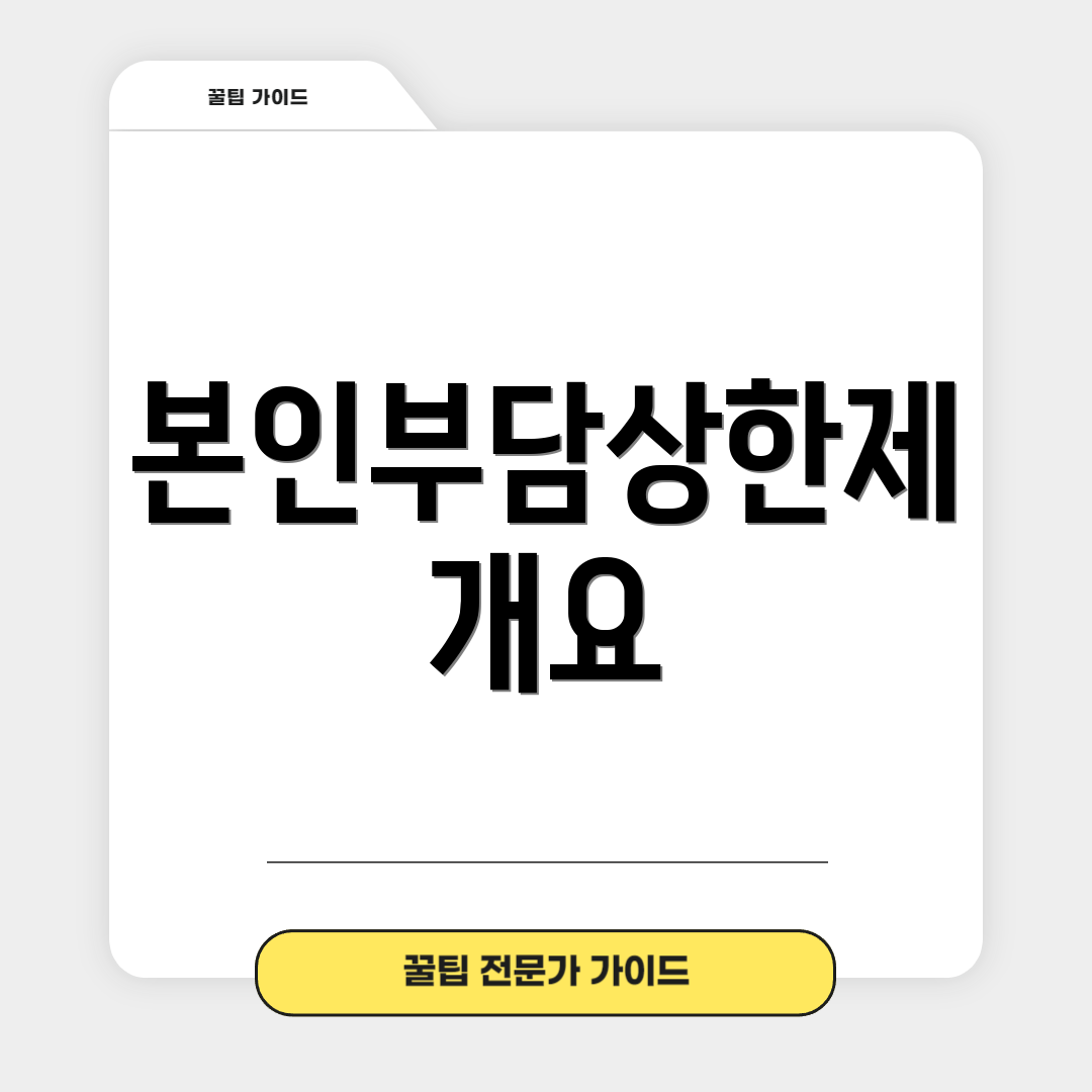 본인부담상한제 개요