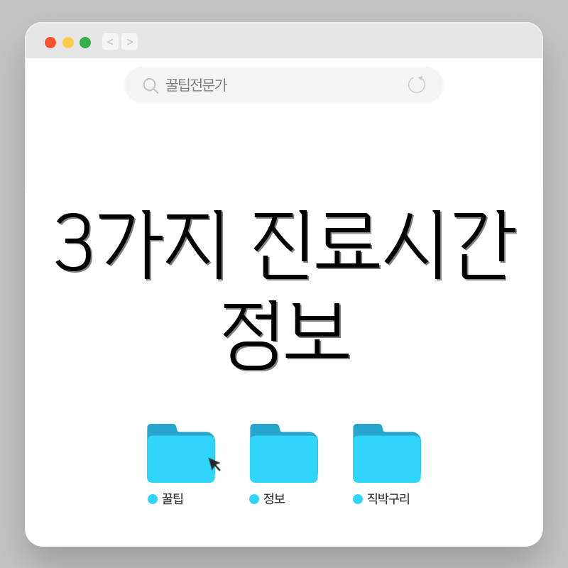 3가지 진료시간 정보