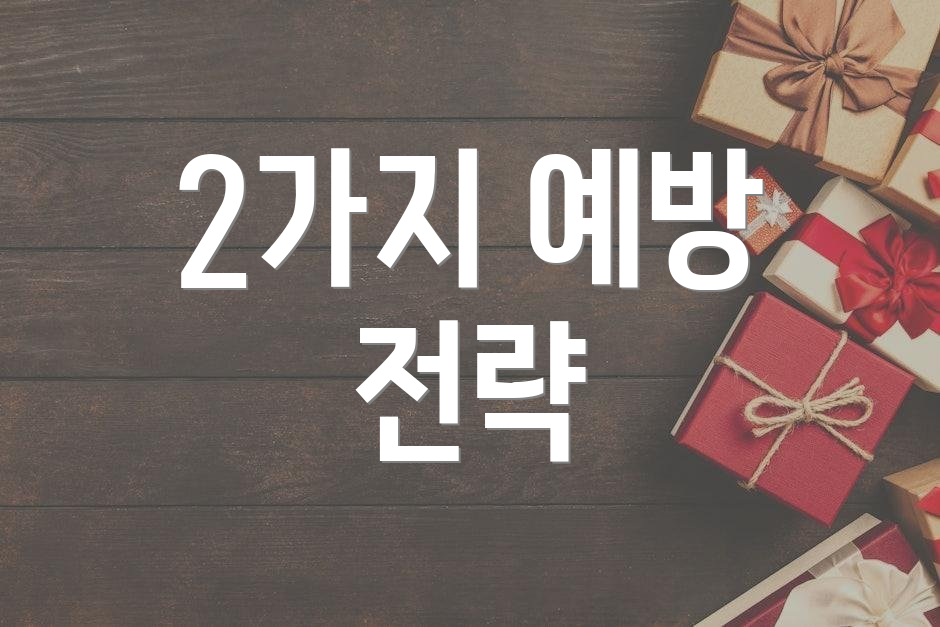 2가지 예방 전략