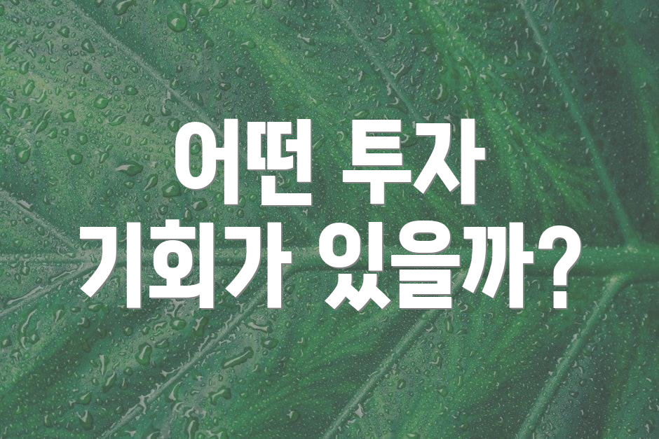 어떤 투자 기회가 있을까?
