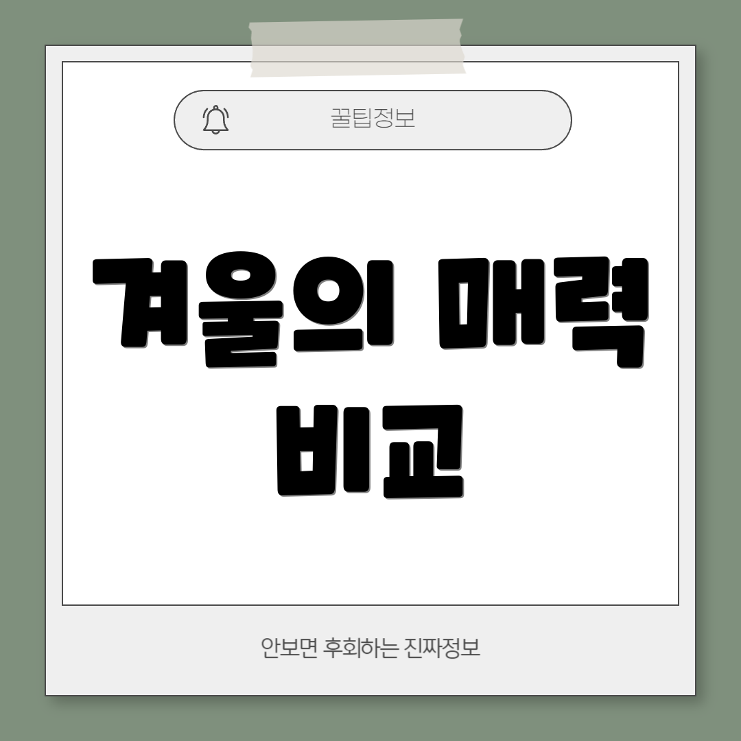 겨울의 매력 비교