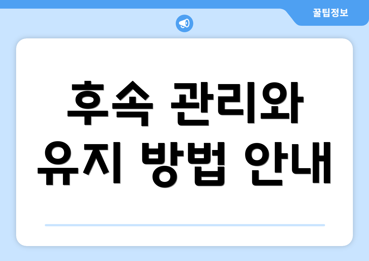 후속 관리와 유지 방법 안내