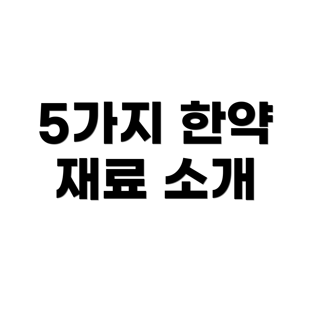 5가지 한약 재료 소개