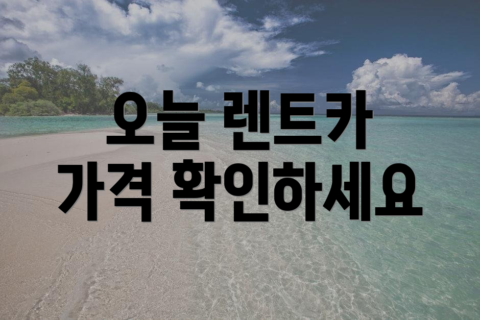 오늘 렌트카 가격 확인하세요