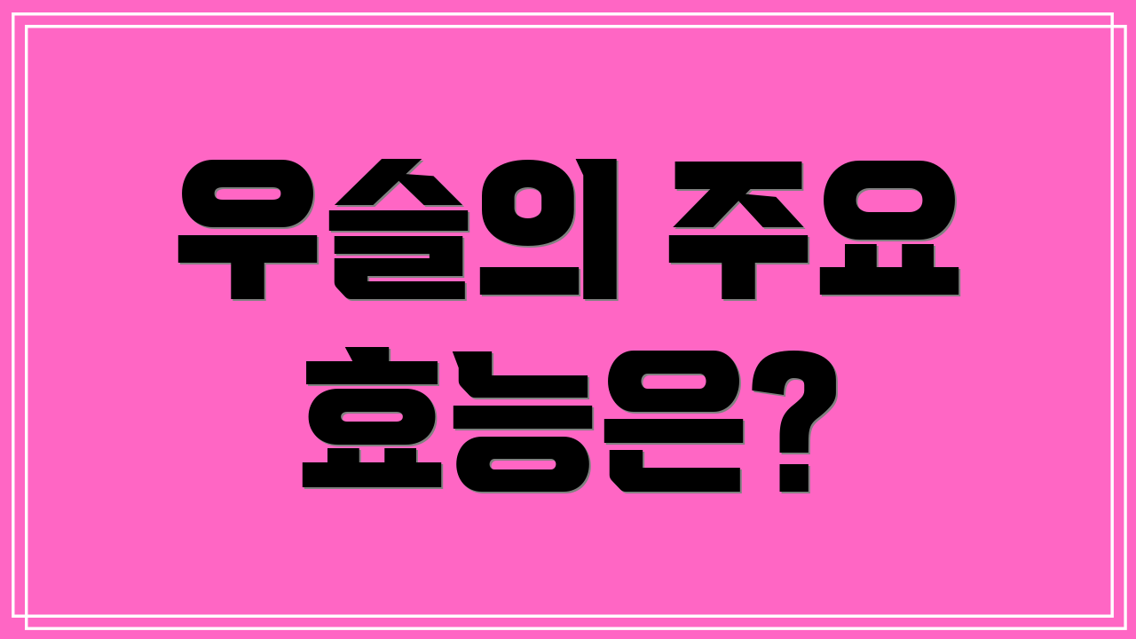 우슬의 주요 효능은?
