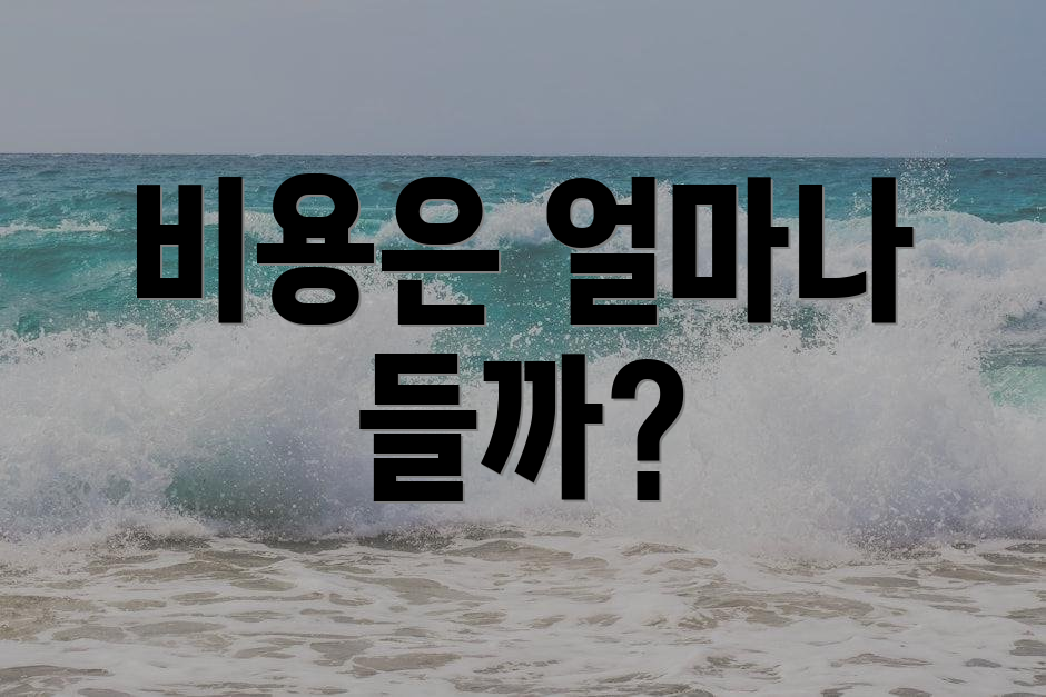 비용은 얼마나 들까?