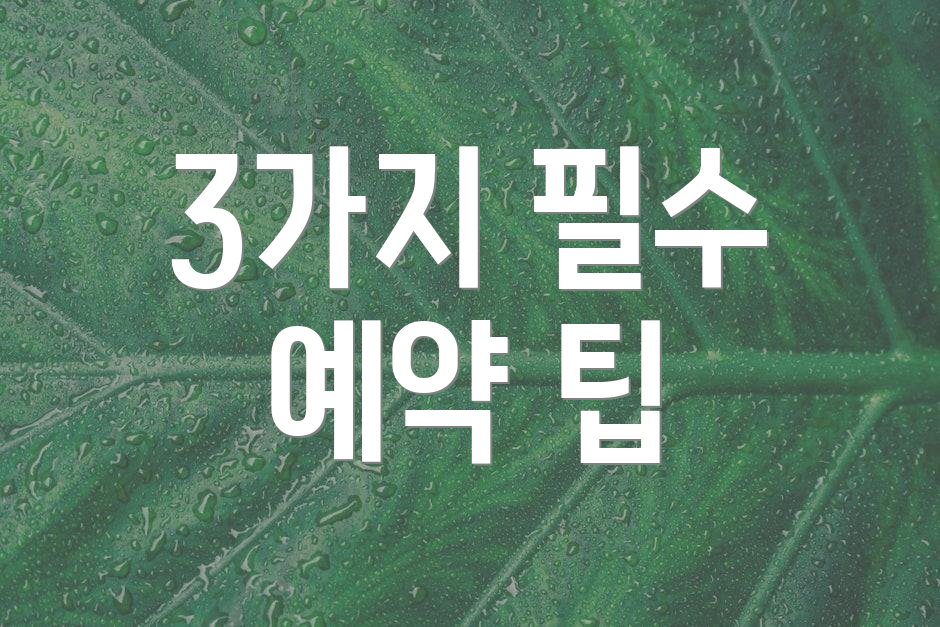 3가지 필수 예약 팁
