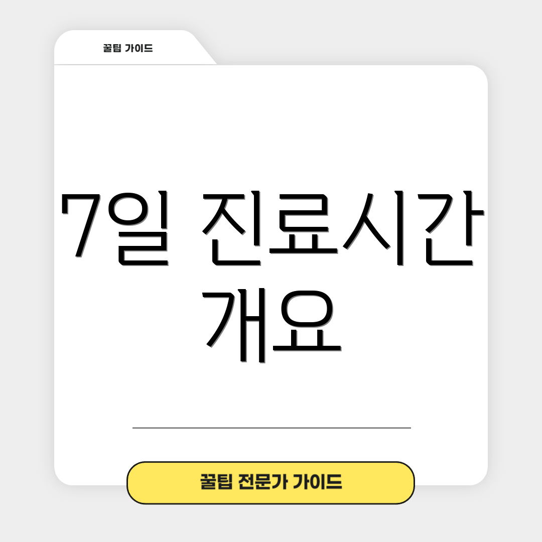 7일 진료시간 개요