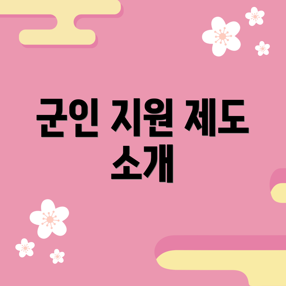 군인 지원 제도 소개