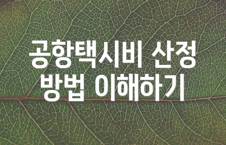 공항택시비 산정 방법 이해하기