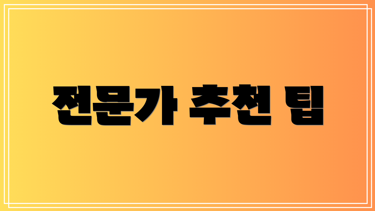전문가 추천 팁