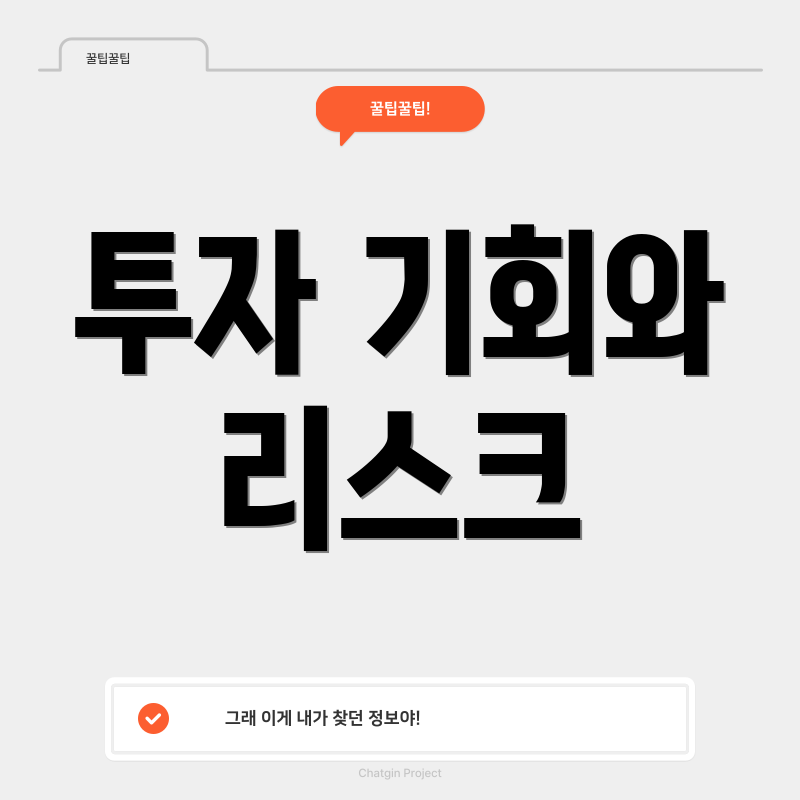 투자 기회와 리스크