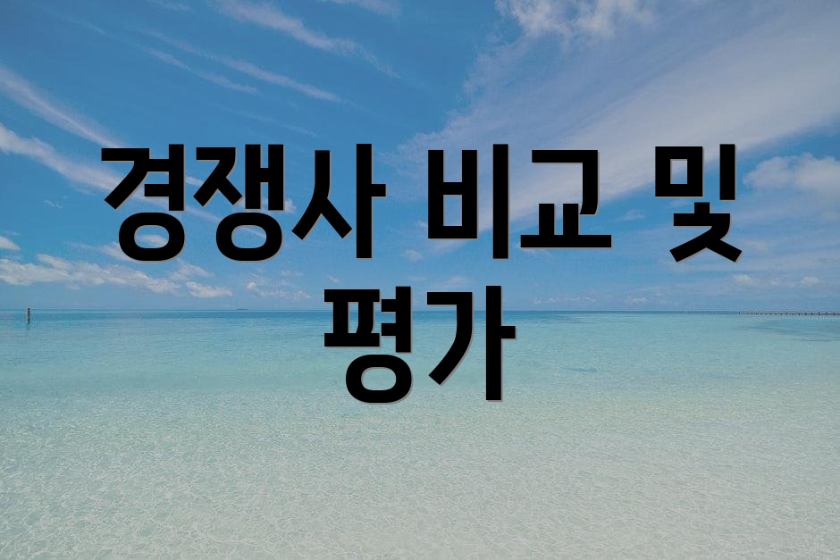 경쟁사 비교 및 평가