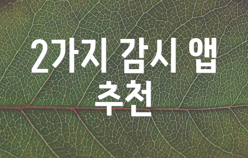 2가지 감시 앱 추천