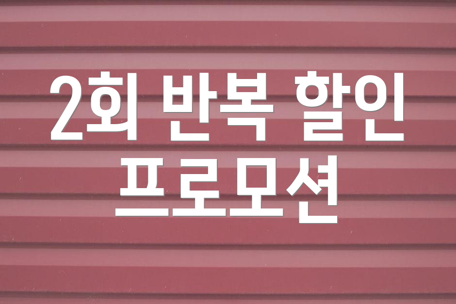 2회 반복 할인 프로모션