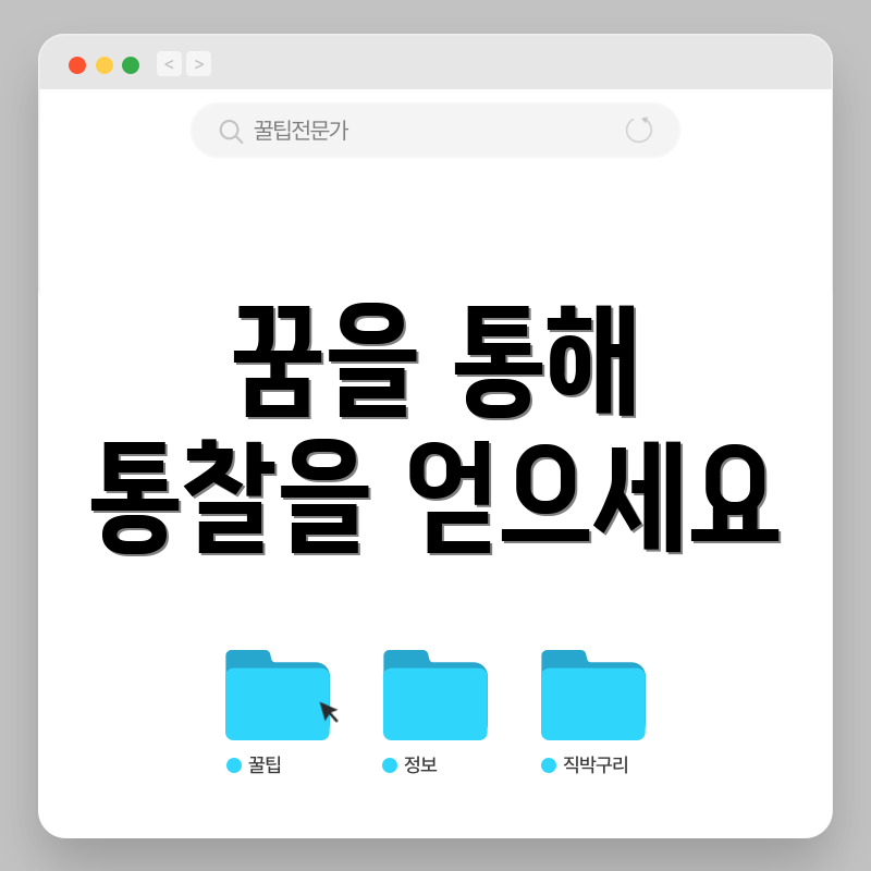 꿈을 통해 통찰을 얻으세요