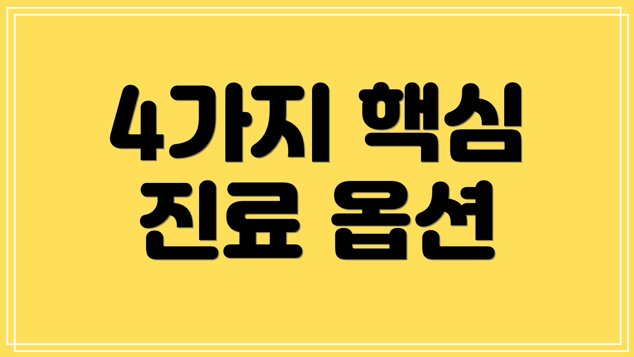 4가지 핵심 진료 옵션
