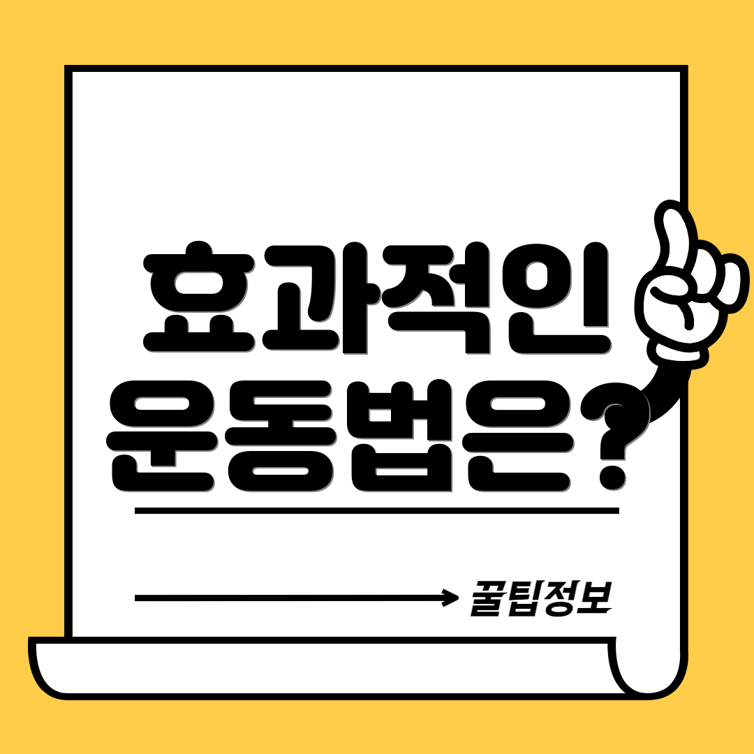 효과적인 운동법은?