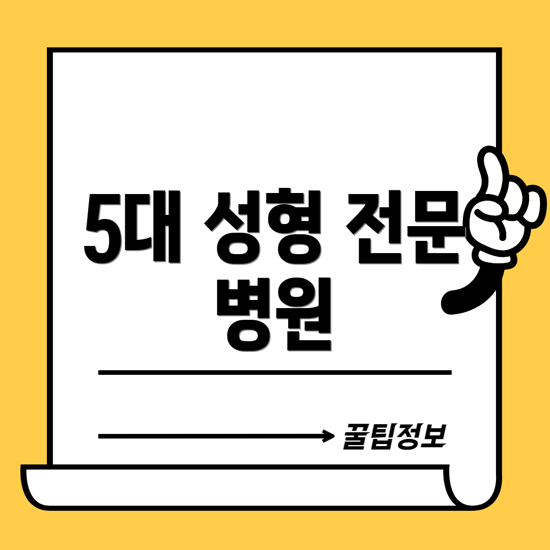 5대 성형 전문 병원