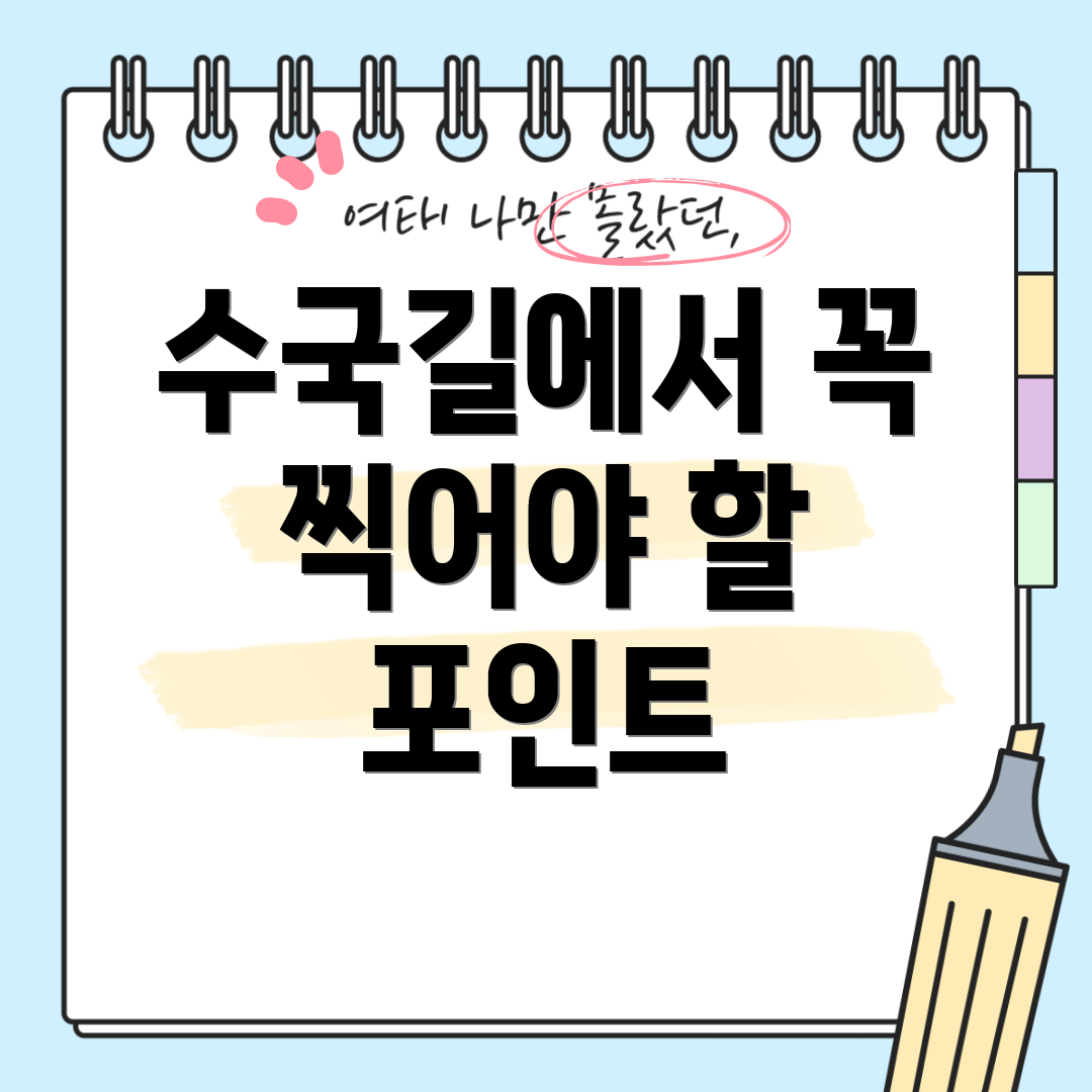 수국길에서 꼭 찍어야 할 포인트